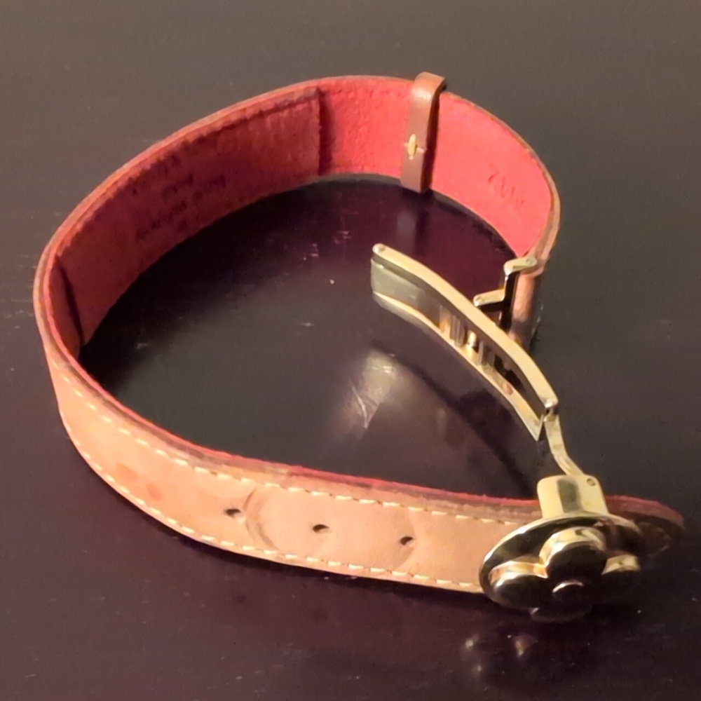 Gorgeous Louis Vuitton Paris Leather LV Good Luck Series - Picture 2 of 13